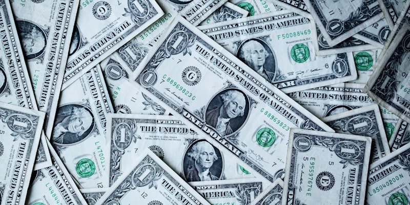Coins and a plant symbolizing steady financial growth